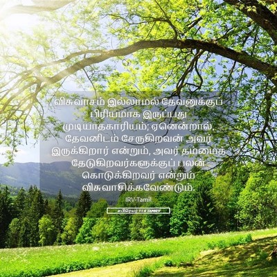 Picture 05 - எபிரெயர் 11:6 TAMIRV - விசுவாசம் - Bible Verse Picture