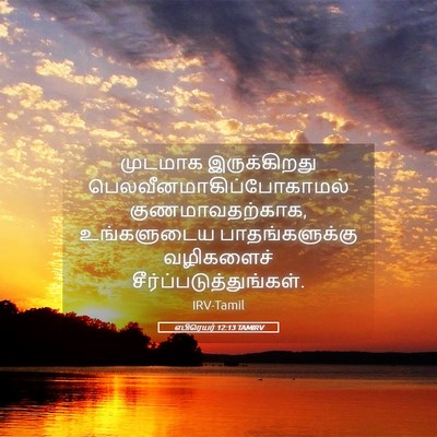 Picture 05 - எபிரெயர் 12:13 TAMIRV - முடமாக இருக்கிறது - Bible Verse Picture