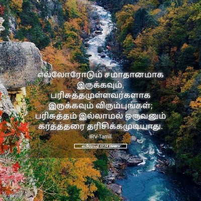 Picture 05 - எபிரெயர் 12:14 TAMIRV - எல்லோரோடும் - Bible Verse Picture