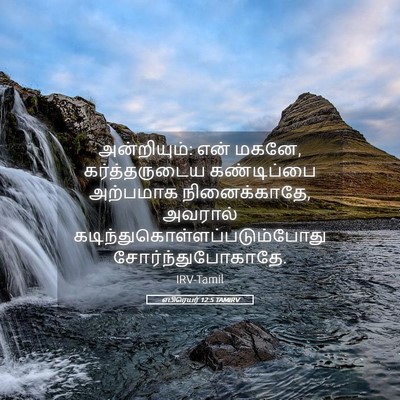 Picture 05 - எபிரெயர் 12:5 TAMIRV - அன்றியும்: என் - Bible Verse Picture