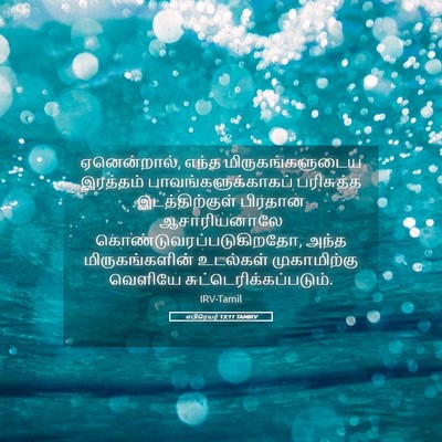 Picture 05 - எபிரெயர் 13:11 TAMIRV - ஏனென்றால், எந்த - Bible Verse Picture