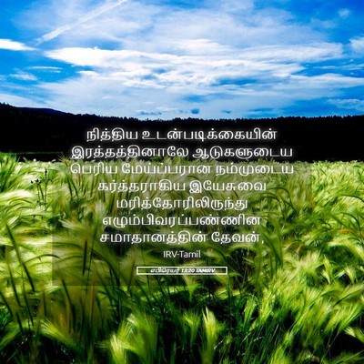 Picture 05 - எபிரெயர் 13:20 TAMIRV - நித்திய - Bible Verse Picture