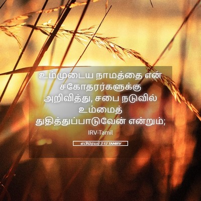 Picture 05 - எபிரெயர் 2:12 TAMIRV - உம்முடைய நாமத்தை - Bible Verse Picture