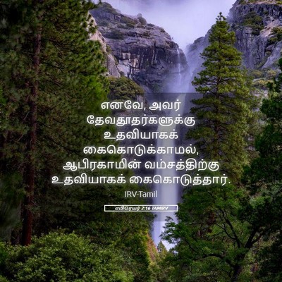 Picture 05 - எபிரெயர் 2:16 TAMIRV - எனவே, அவர் - Bible Verse Picture