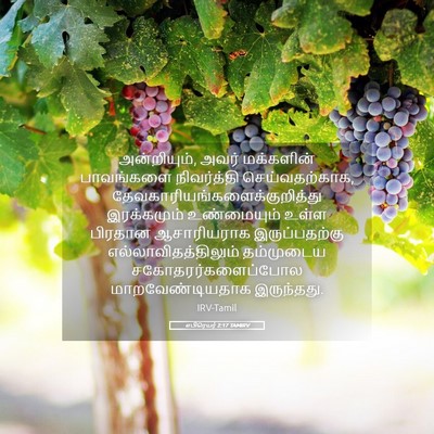 Picture 05 - எபிரெயர் 2:17 TAMIRV - அன்றியும், அவர் - Bible Verse Picture