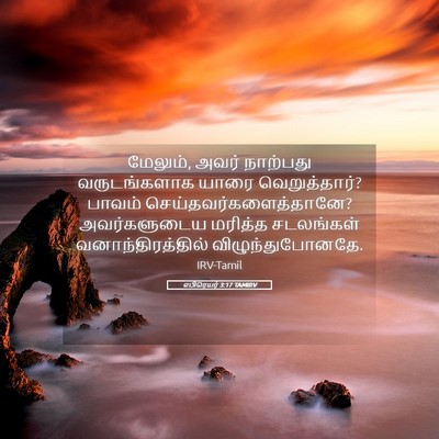 Picture 05 - எபிரெயர் 3:17 TAMIRV - மேலும், அவர் - Bible Verse Picture