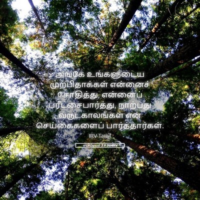 Picture 05 - எபிரெயர் 3:9 TAMIRV - அங்கே உங்களுடைய - Bible Verse Picture