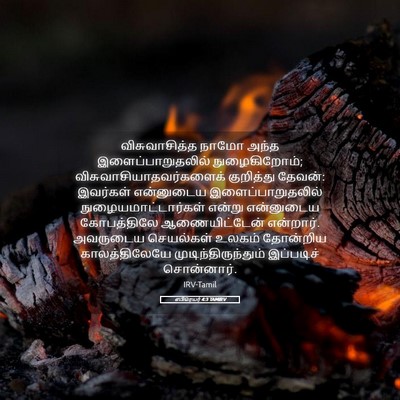 Picture 05 - எபிரெயர் 4:3 TAMIRV - விசுவாசித்த நாமோ - Bible Verse Picture