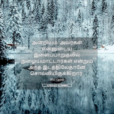 Picture 05 - எபிரெயர் 4:5 TAMIRV - அன்றியும், - Bible Verse Picture