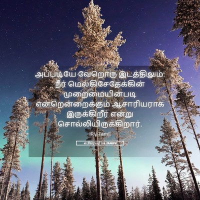 Picture 05 - எபிரெயர் 5:6 TAMIRV - அப்படியே வேறொரு - Bible Verse Picture