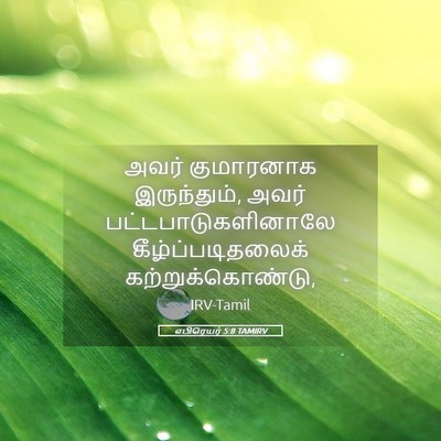 Picture 05 - எபிரெயர் 5:8 TAMIRV - அவர் குமாரனாக - Bible Verse Picture