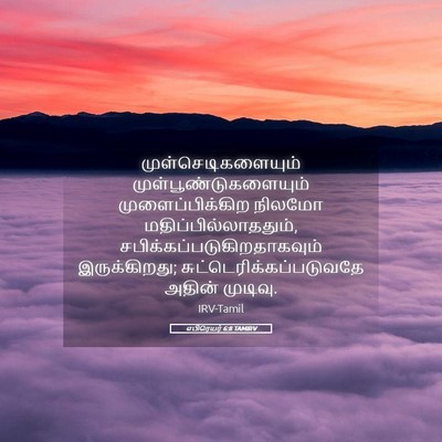 Picture 05 - எபிரெயர் 6:8 TAMIRV - முள்செடிகளையும் - Bible Verse Picture