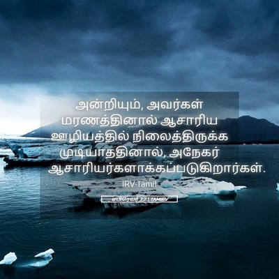 Picture 05 - எபிரெயர் 7:23 TAMIRV - அன்றியும், - Bible Verse Picture