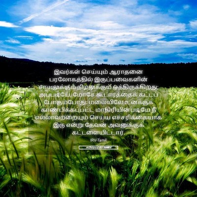 Picture 05 - எபிரெயர் 8:5 TAMIRV - இவர்கள் செய்யும் - Bible Verse Picture