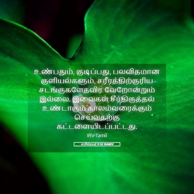 Picture 05 - எபிரெயர் 9:10 TAMIRV - உண்பதும், - Bible Verse Picture
