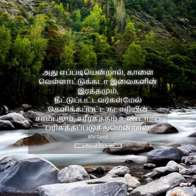 Picture 05 - எபிரெயர் 9:13 TAMIRV - அது - Bible Verse Picture