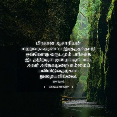 Picture 05 - எபிரெயர் 9:25 TAMIRV - பிரதான ஆசாரியன் - Bible Verse Picture