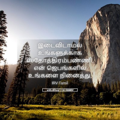 Picture 05 - எபேசியர் 1:16 TAMIRV - இடைவிடாமல் - Bible Verse Picture