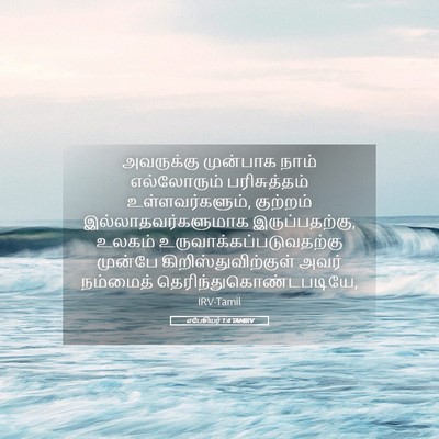 Picture 05 - எபேசியர் 1:4 TAMIRV - அவருக்கு முன்பாக - Bible Verse Picture