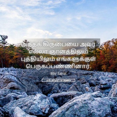 Picture 05 - எபேசியர் 1:8 TAMIRV - அந்தக் கிருபையை - Bible Verse Picture