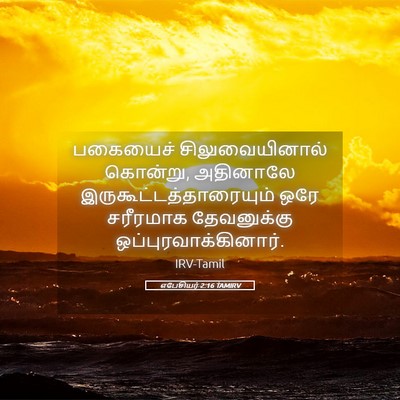 Picture 05 - எபேசியர் 2:16 TAMIRV - பகையைச் - Bible Verse Picture