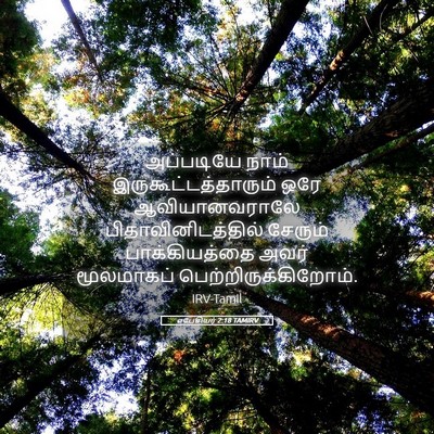 Picture 05 - எபேசியர் 2:18 TAMIRV - அப்படியே நாம் - Bible Verse Picture