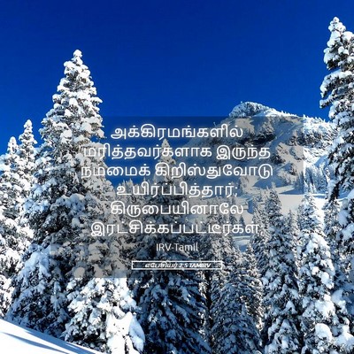 Picture 05 - எபேசியர் 2:5 TAMIRV - அக்கிரமங்களில் - Bible Verse Picture