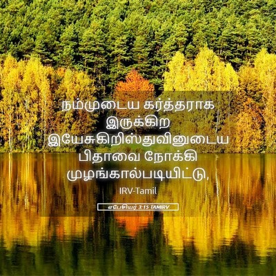 Picture 05 - எபேசியர் 3:15 TAMIRV - நம்முடைய - Bible Verse Picture
