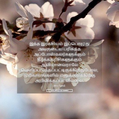 Picture 05 - எபேசியர் 3:6 TAMIRV - இந்த இரகசியம் - Bible Verse Picture