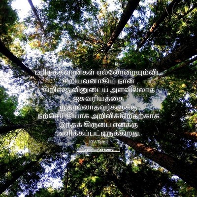 Picture 05 - எபேசியர் 3:8 TAMIRV - பரிசுத்தவான்கள் - Bible Verse Picture