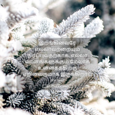Picture 05 - எபேசியர் 4:10 TAMIRV - இறங்கினவரே - Bible Verse Picture