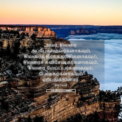 Picture 05 - எபேசியர் 4:13 TAMIRV - அவர், சிலரை - Bible Verse Picture