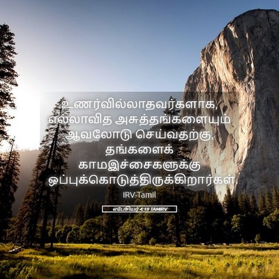 Picture 05 - எபேசியர் 4:19 TAMIRV -  - Bible Verse Picture