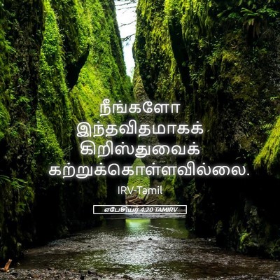 Picture 05 - எபேசியர் 4:20 TAMIRV - நீங்களோ - Bible Verse Picture