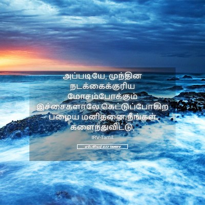 Picture 05 - எபேசியர் 4:22 TAMIRV - அப்படியே, முந்தின - Bible Verse Picture