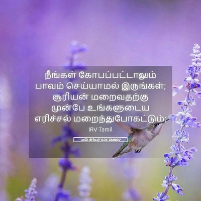 Picture 05 - எபேசியர் 4:26 TAMIRV - நீங்கள் - Bible Verse Picture