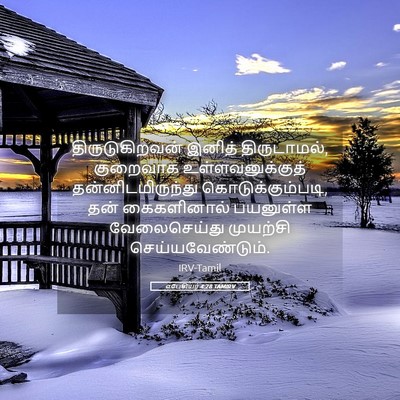 Picture 05 - எபேசியர் 4:28 TAMIRV - திருடுகிறவன் - Bible Verse Picture