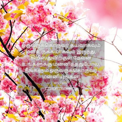 Picture 05 - எபேசியர் 4:32 TAMIRV - ஒருவருக்கொருவர் - Bible Verse Picture