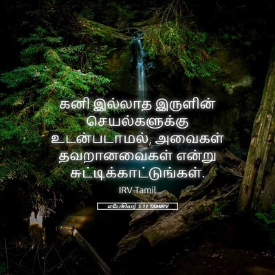 Picture 05 - எபேசியர் 5:11 TAMIRV - கனி இல்லாத - Bible Verse Picture