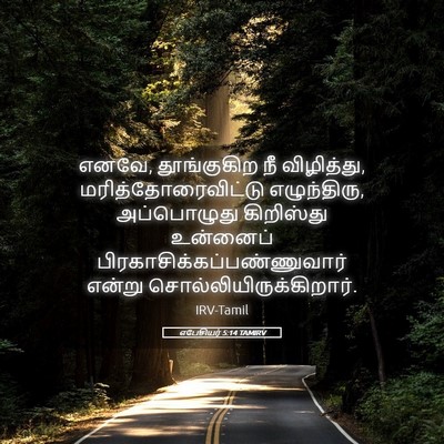 Picture 05 - எபேசியர் 5:14 TAMIRV - எனவே, தூங்குகிற நீ - Bible Verse Picture