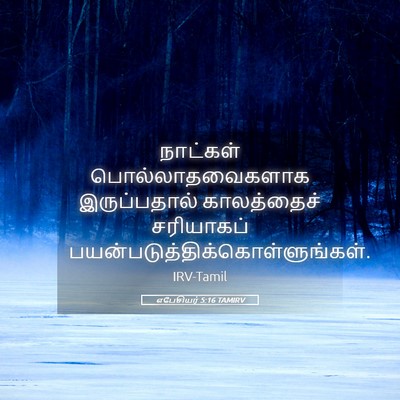 Picture 05 - எபேசியர் 5:16 TAMIRV - நாட்கள் - Bible Verse Picture