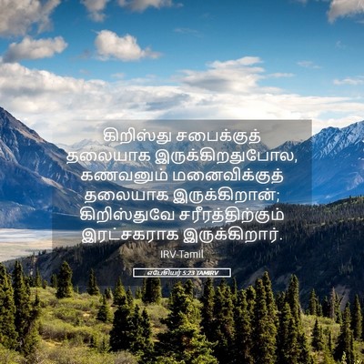 Picture 05 - எபேசியர் 5:23 TAMIRV - கிறிஸ்து - Bible Verse Picture