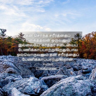 Picture 05 - எபேசியர் 5:29 TAMIRV - தன் சொந்த - Bible Verse Picture