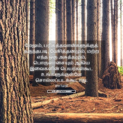 Picture 05 - எபேசியர் 5:3 TAMIRV - மேலும், - Bible Verse Picture