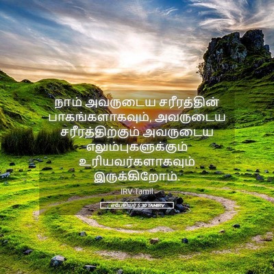Picture 05 - எபேசியர் 5:30 TAMIRV - நாம் அவருடைய - Bible Verse Picture