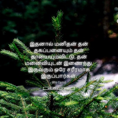 Picture 05 - எபேசியர் 5:31 TAMIRV - இதனால் மனிதன் தன் - Bible Verse Picture