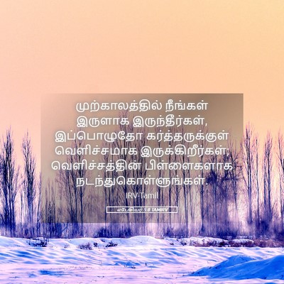 Picture 05 - எபேசியர் 5:8 TAMIRV - முற்காலத்தில் - Bible Verse Picture