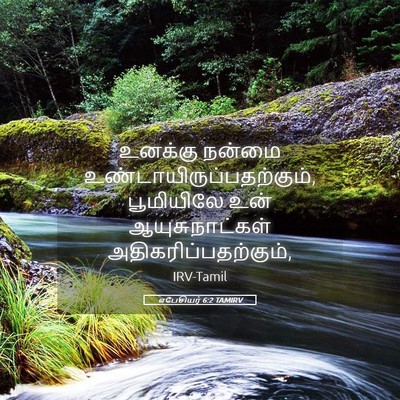 Picture 05 - எபேசியர் 6:2 TAMIRV - உனக்கு நன்மை - Bible Verse Picture