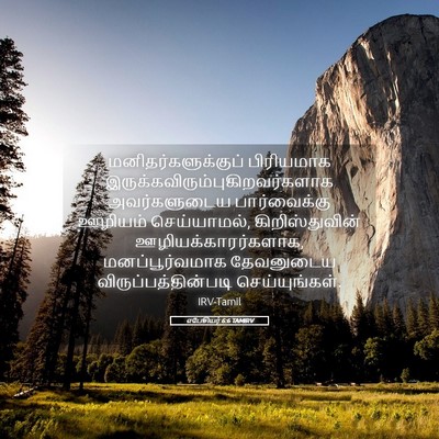 Picture 05 - எபேசியர் 6:6 TAMIRV - மனிதர்களுக்குப் - Bible Verse Picture