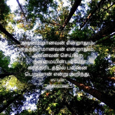 Picture 05 - எபேசியர் 6:7 TAMIRV - அடிமையானவன் - Bible Verse Picture